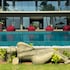 dormero hotel sri lanka hikkaduwa beach