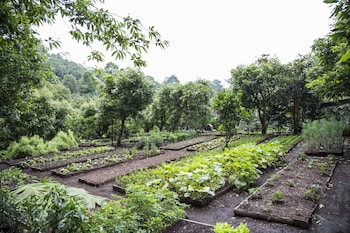 san cristobal verapaz