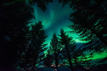 buubble hotel olvisholt