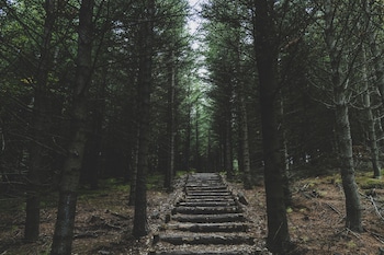 buubble hotel olvisholt