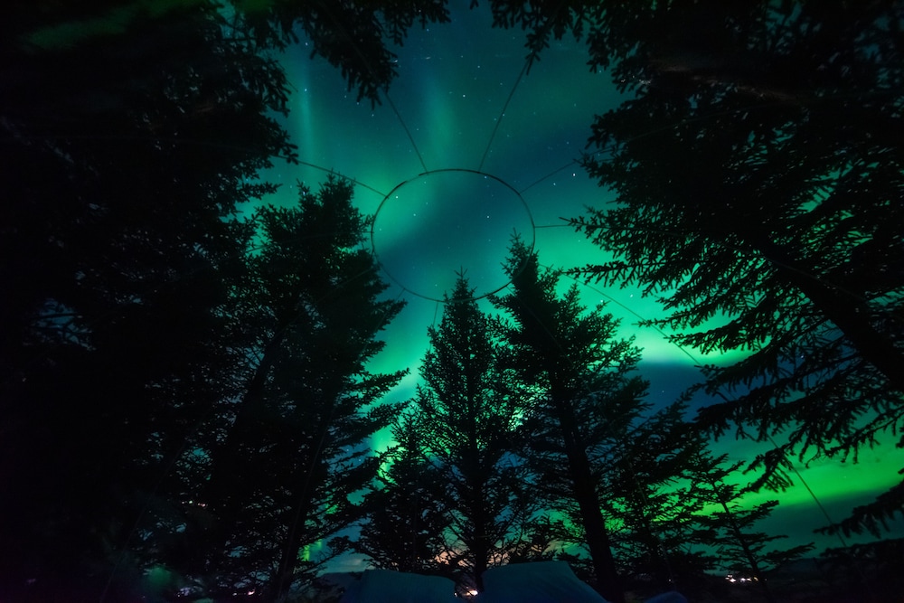 buubble hotel olvisholt