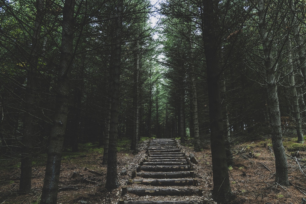 buubble hotel olvisholt