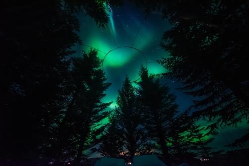 buubble hotel olvisholt