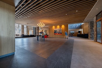 swissotel damian jasna