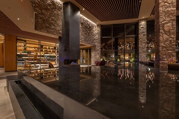 swissotel damian jasna