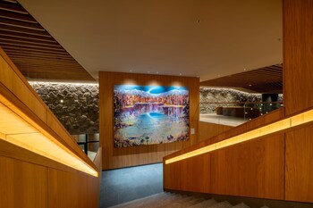 swissotel damian jasna