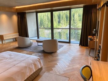 swissotel damian jasna