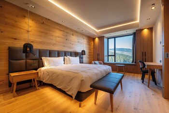 swissotel damian jasna