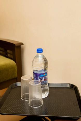 terra hotels t nagar