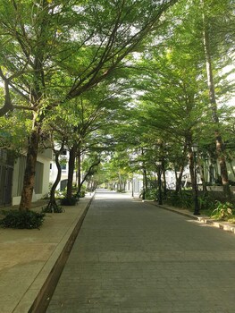 green inn phu quoc hotel
