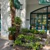 green inn phu quoc hotel