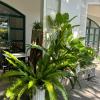 green inn phu quoc hotel