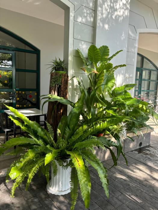green inn phu quoc hotel