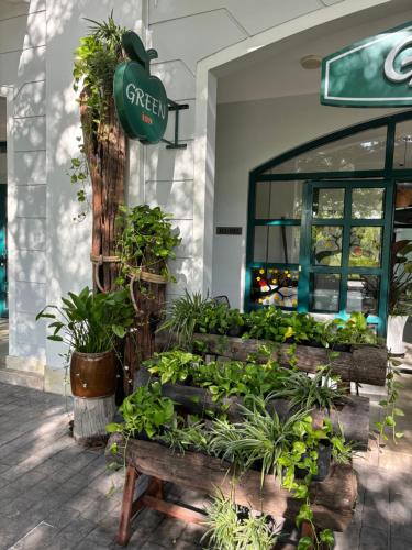 green inn phu quoc hotel