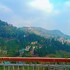 hotel the pine villa mussoorie