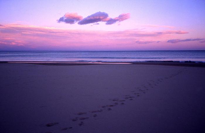 guardamar del segura