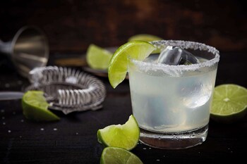 drury plaza hotel north charleston