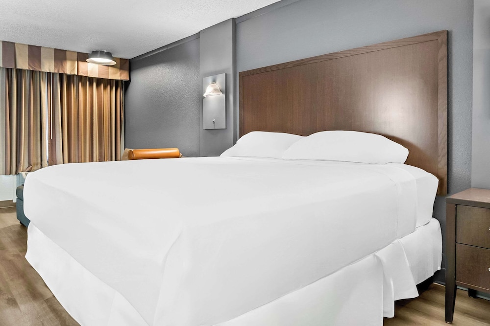rodeway inn and suites