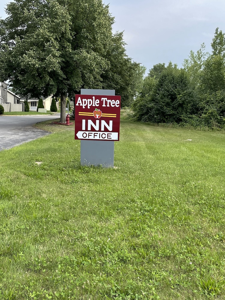 rodeway inn and suites