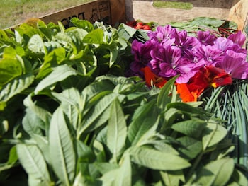 le chateau de sable hotel