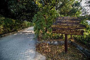 ashoka tiger trail