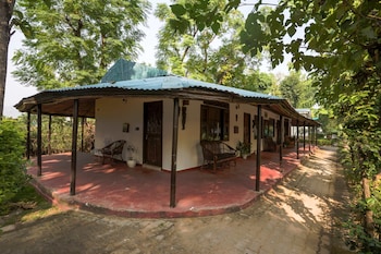 ashoka tiger trail