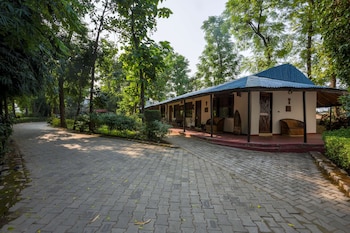 ashoka tiger trail