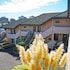 ashwood manor motor lodge