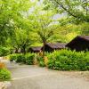fuente del lobo glamping bungalows adults only