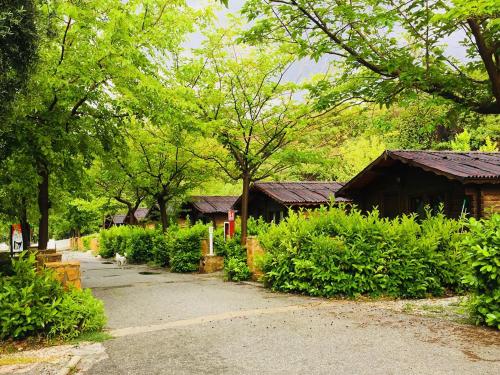 fuente del lobo glamping bungalows adults only