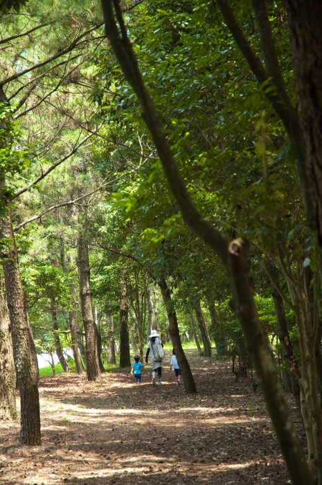 luxze hitotsuba cottage himuka