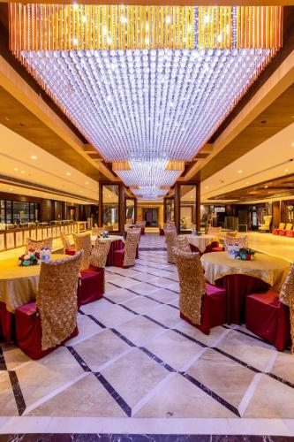 hotel lotus paradise