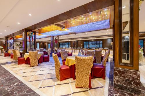 hotel lotus paradise