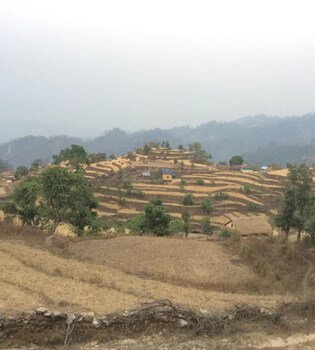 bardia jungle cottage