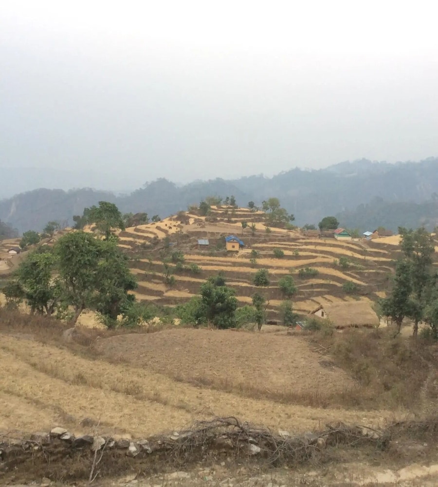 bardia jungle cottage