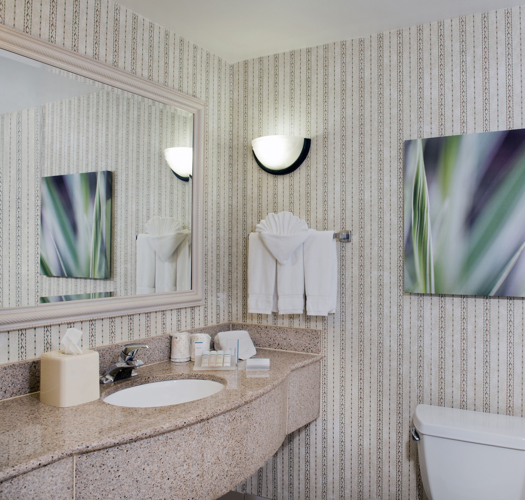 hilton garden inn charlotte pineville