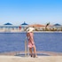 albatros makadi resort 24 hrs all inclusive