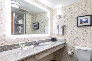 holiday inn indianapolis downtown by ihg