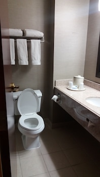 Holiday Inn Express Hotel & Suites Waterford By Ihg,Michigan>>Detroit,3 star