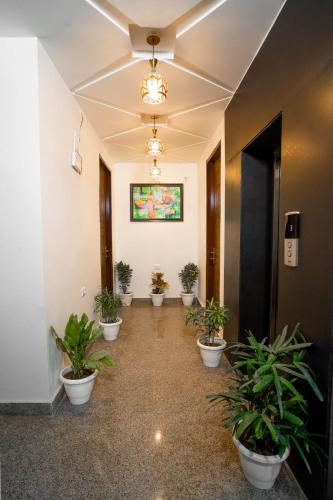 the lodgers 1 bhk serviced apartment