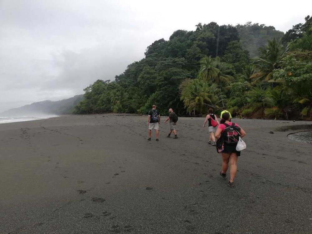 hostel y cabinas tapandua