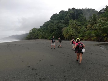 hostel y cabinas tapandua