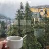 sapa