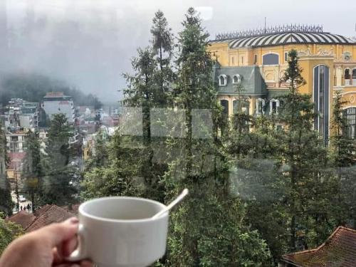 sapa
