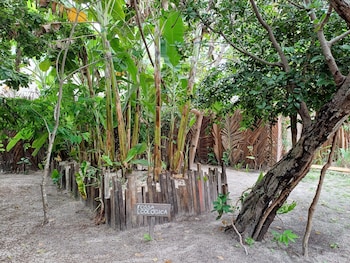 santo amaro do maranhao