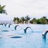 cam ranh
