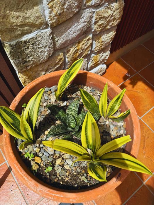 apartamentos casa del valle