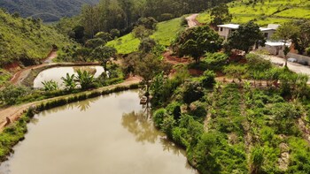 ouro preto