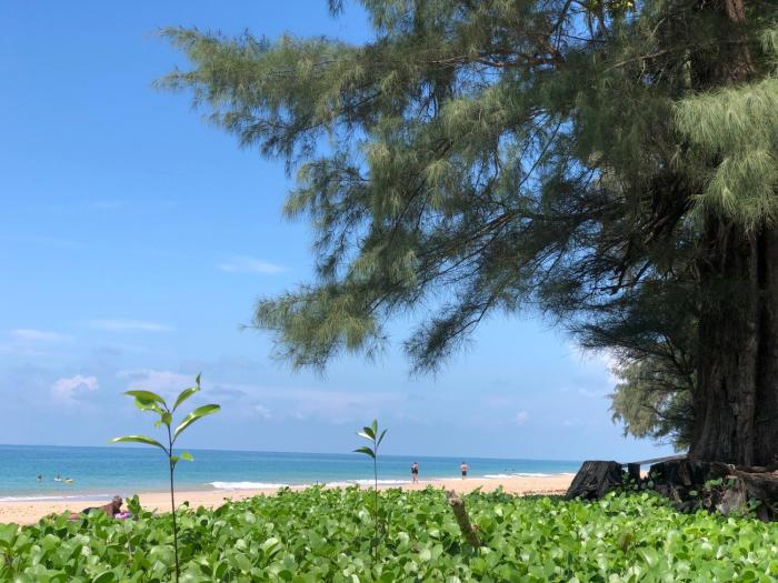 ko lanta