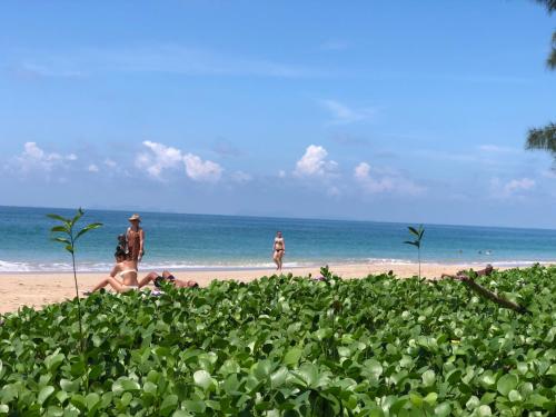 ko lanta
